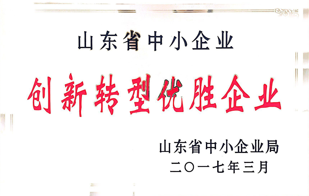 2017年公司入选山东省创新转型优胜企业